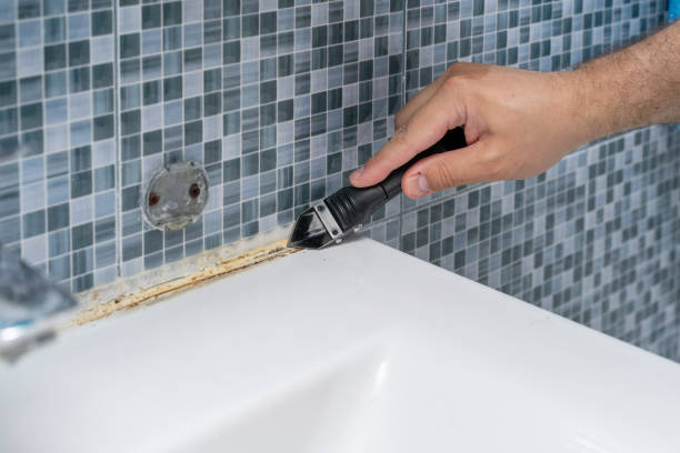 Best Mold Removal Near Me  in Demorest, GA
