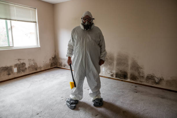 Best Mold Removal Process  in Demorest, GA